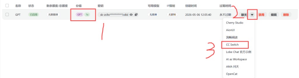 Codex 教程 步骤 2：分组列与聊天旁下拉菜单中选 CC Switch
