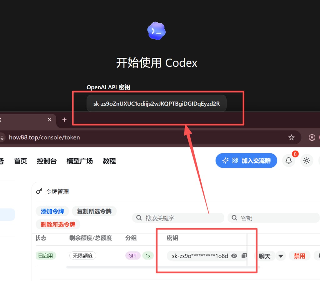 Codex 教程 步骤 6：从控制台复制 sk 密钥到 Codex
